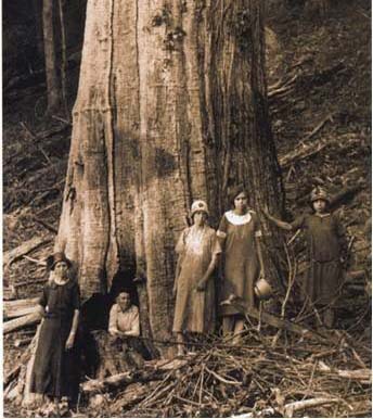 family standing in front of an American Chestnut tree