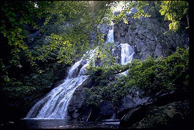 Waterfall in Shenandoah. It looks like Dark hollow falls but I'm not positive on that.